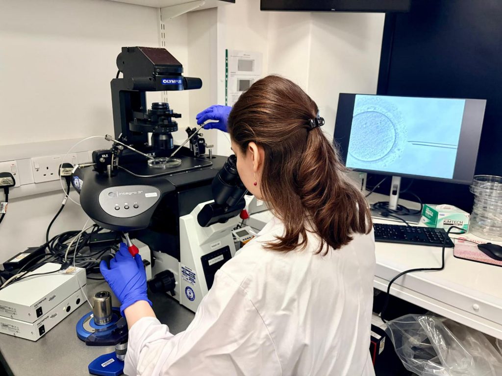 rédito: Centro Loke de Investigación sobre Trofoblastos de la Universidad de Cambridge.