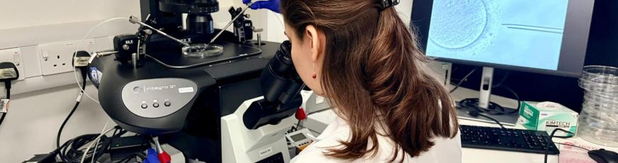 Una nueva edición genética revela un factor esencial en el desarrollo de embriones humanos