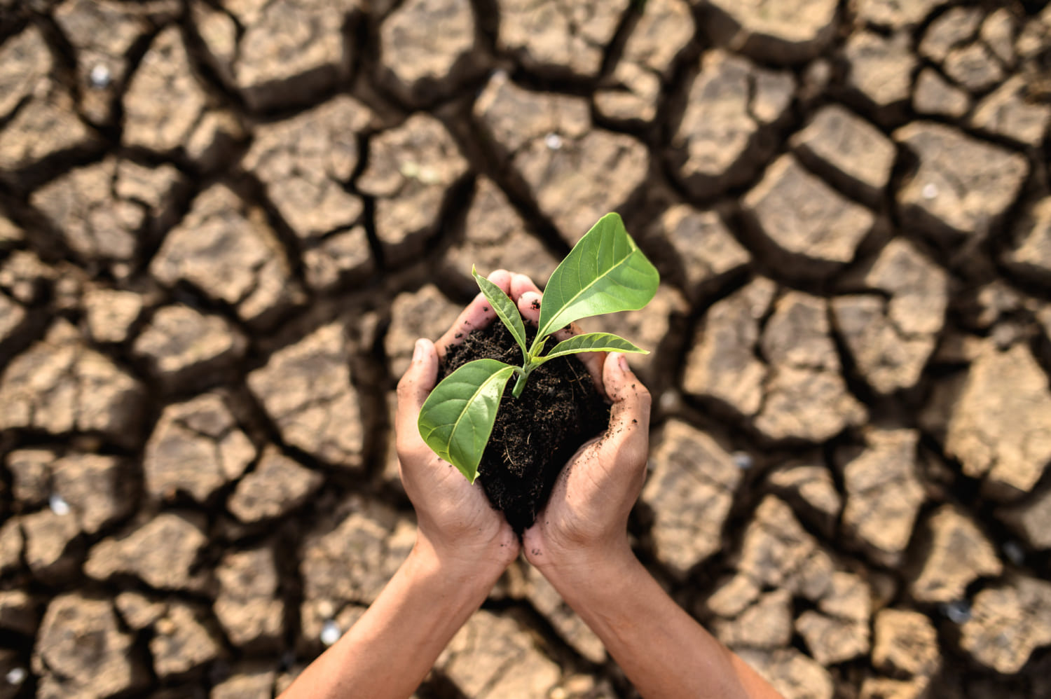 Niñez latinoamericana muy expuesta a riesgos climáticos