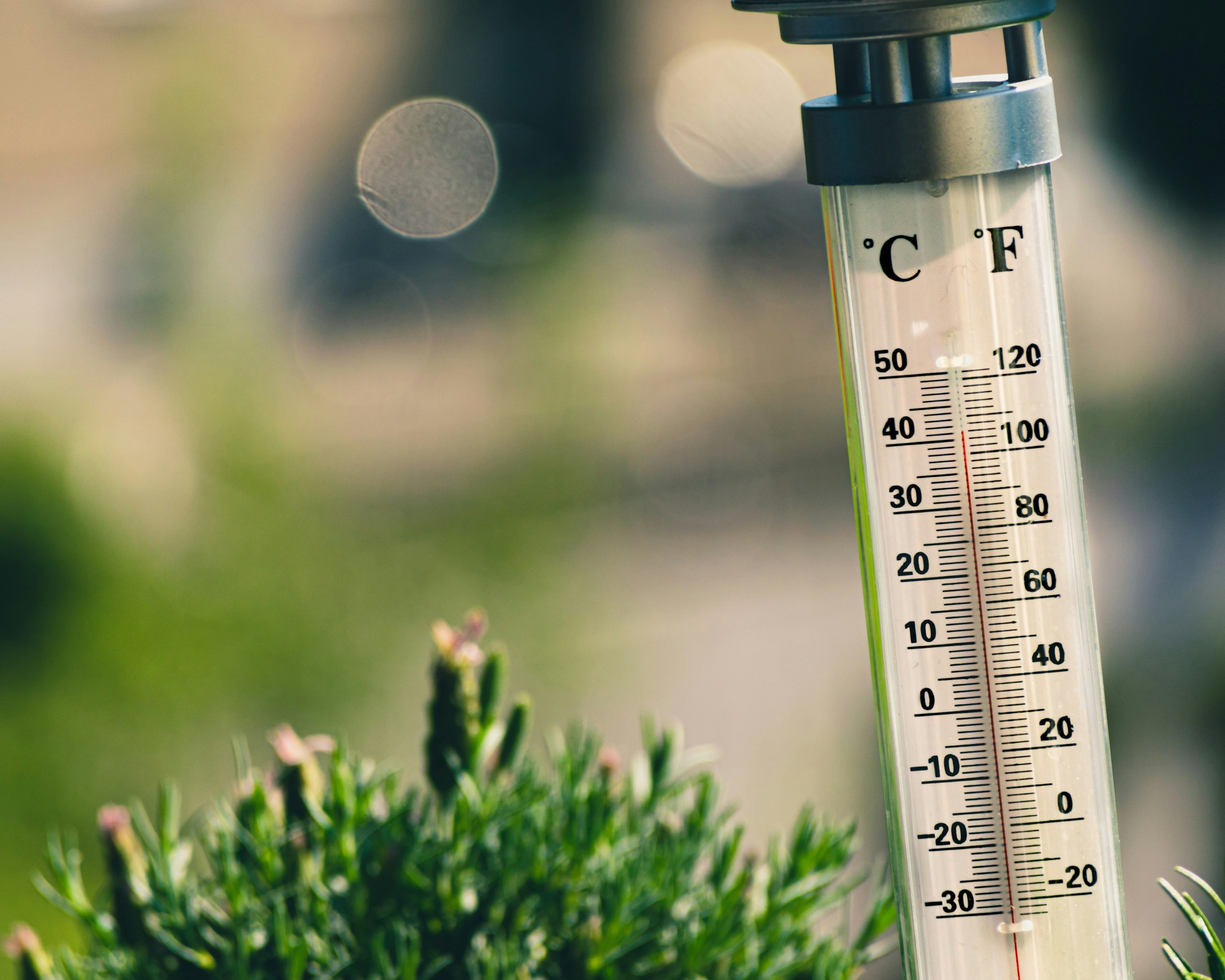 ¿Cómo prevenir un golpe de calor?
