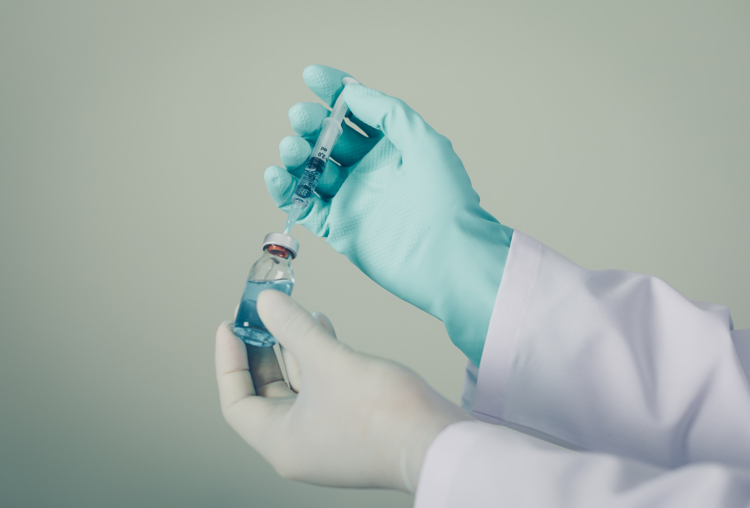 Desarrollan vacuna chilena contra el hantavirus