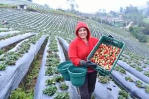 Agricultores y ganaderos necesitan mayor protección ante los efectos del cambio climático