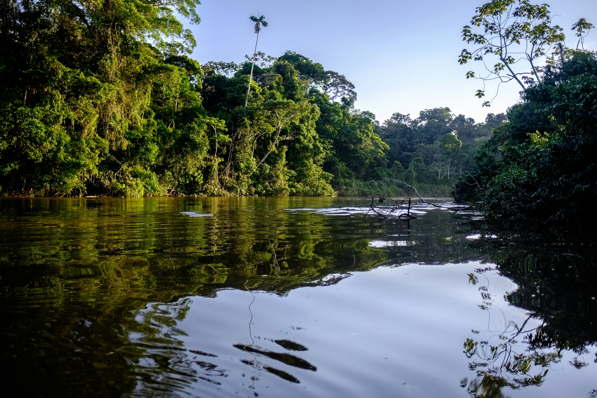 Amazonía enfrenta crisis por sequías y deforestación