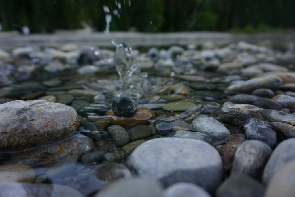 Imagen vía unsplash