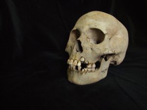 La cepa más antigua de la peste era muy letal y provocó brotes mortales hace 5.500 años
