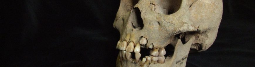 La cepa más antigua de la peste era muy letal y provocó brotes mortales hace 5.500 años