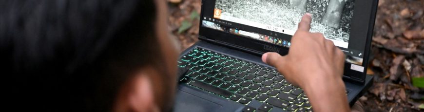 Cámaras, micrófonos e IA: el proyecto camboyano para conocer y proteger la fauna