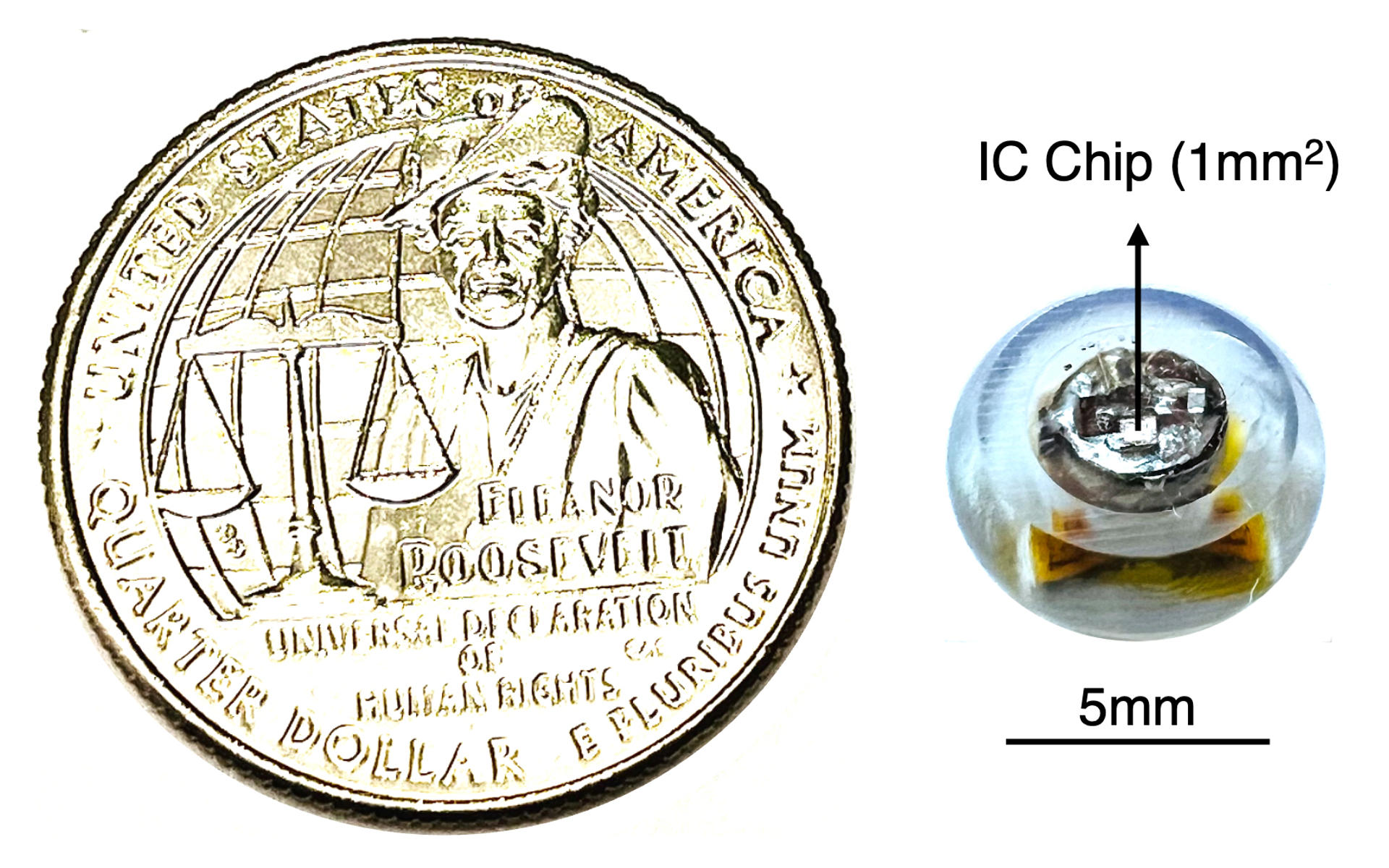 Diseñan una mini cápsula ingerible que mide la temperatura en tiempo real