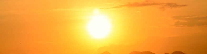 OMS: las olas de calor son una creciente amenaza a la salud, con 500.000 muertes anuales