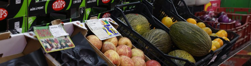 El consumo de alimentos vegetales en niños y adolescentes es insuficiente en todo el mundo
