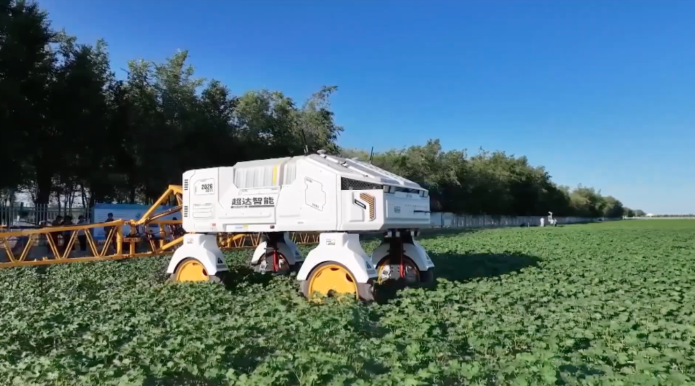 Robots inteligentes transforman cultivos de algodón en China