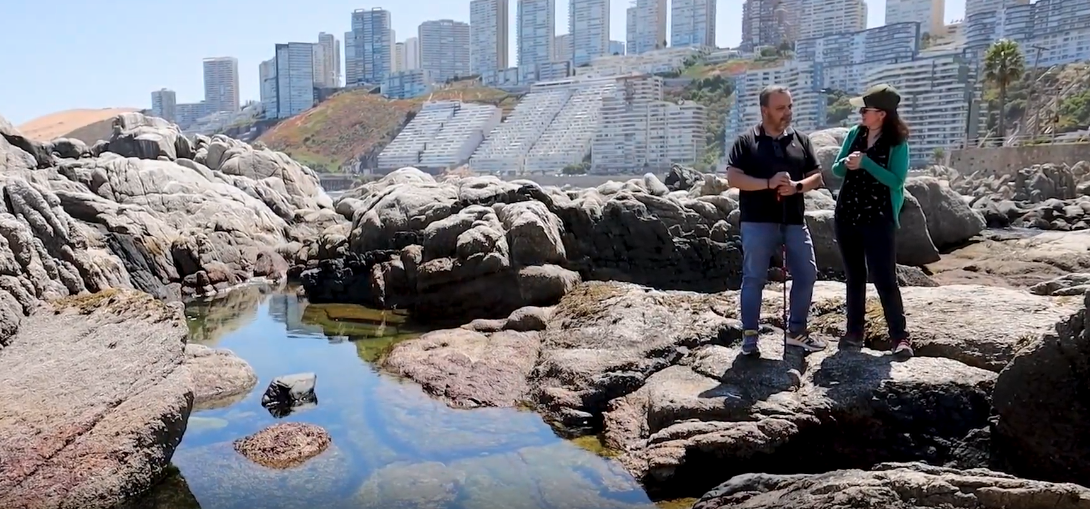 Bacterias marinas inspiran avances en inteligencia artificial