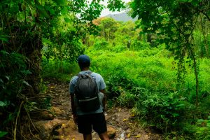 886-06-TECNO-Guardianes selva-Unsplash-