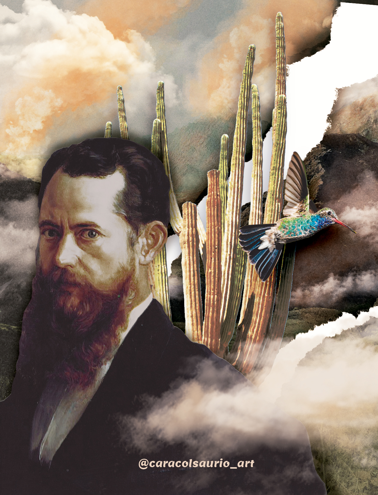 El Ceboruco y José María Velasco