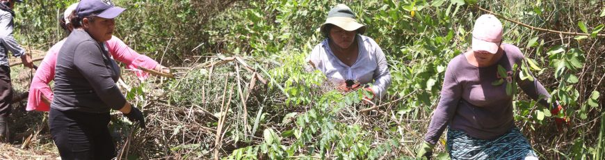 Mujeres lideran la restauración y protección de una zona manglar en El Salvador