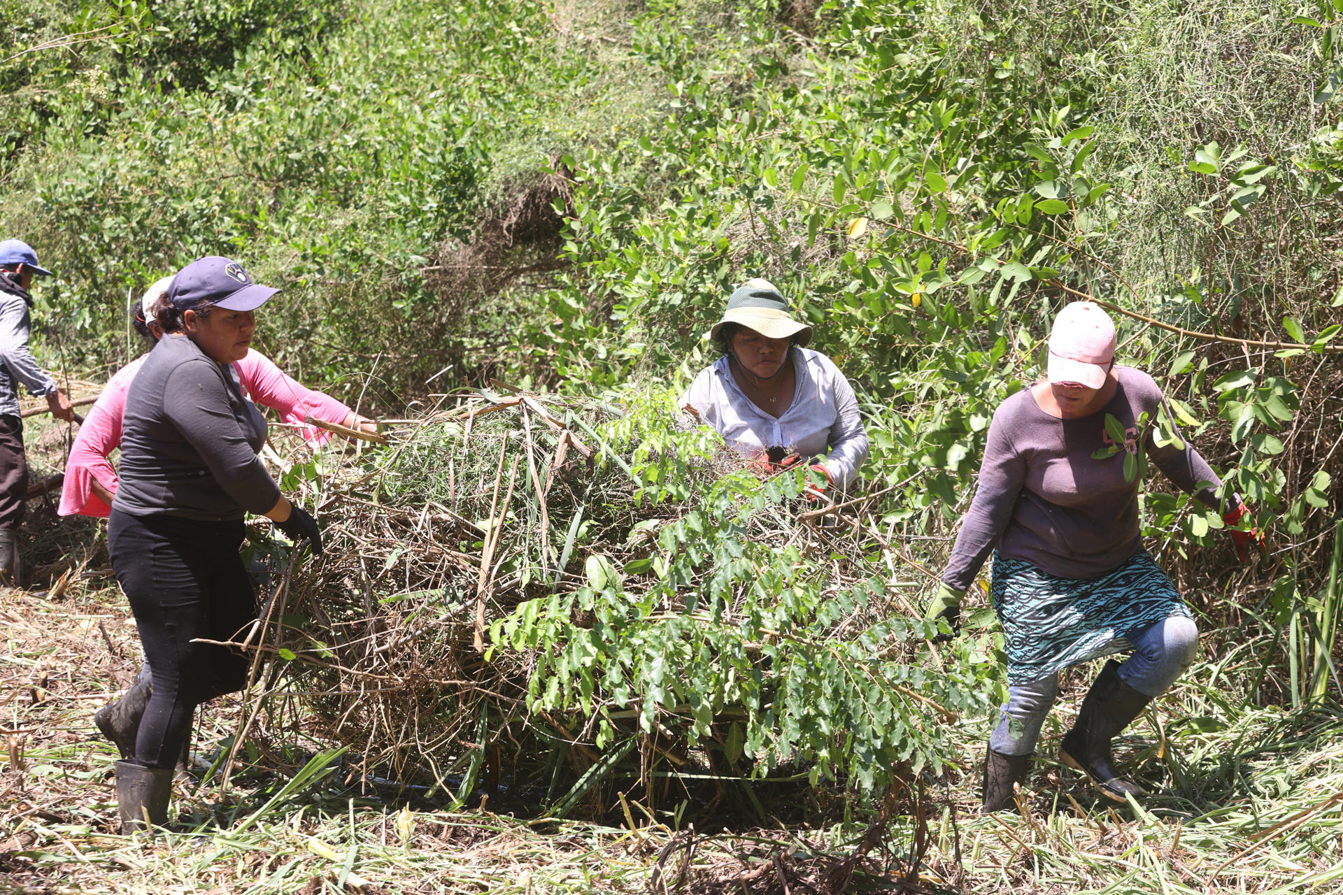 Mujeres lideran la restauración y protección de una zona manglar en El Salvador