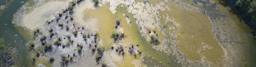 Agencia científica de la ONU confirma que se está formando un fuerte episodio de El Niño
