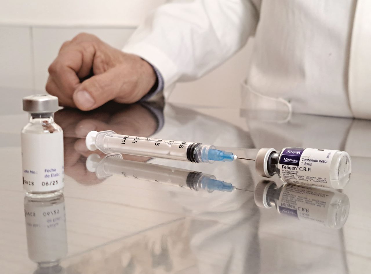 Una vacuna experimental para prevenir el cáncer de páncreas ofrece resultados positivos