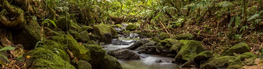 Los ecosistemas de la mayoría de las islas del mundo estarán bajo amenaza para 2050
