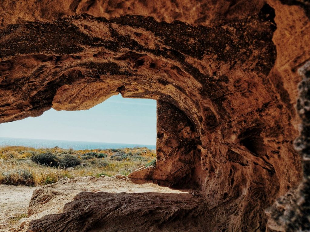 Imagen vía pexels