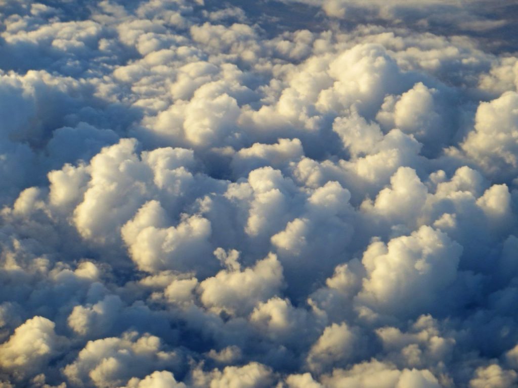 Imagen vía pexels