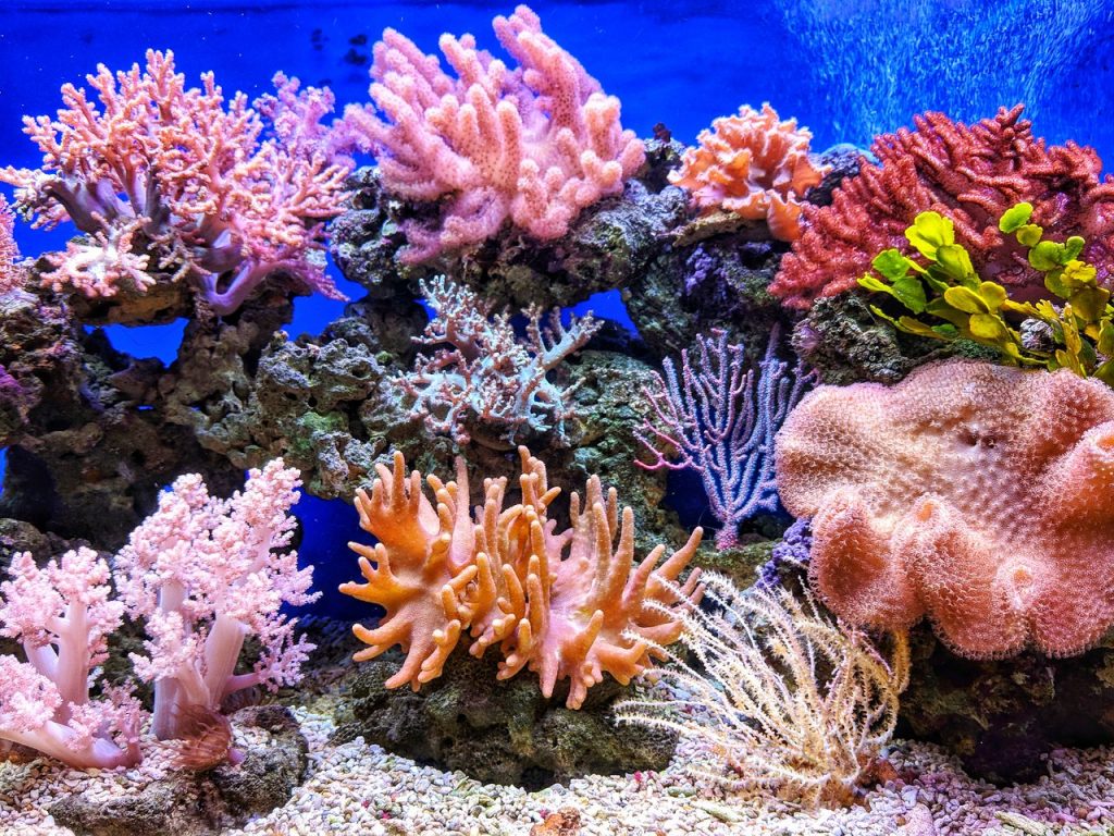 Imagen vía pexels