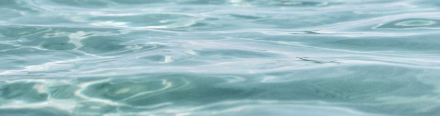 El agua en el Pacífico sudoccidental sigue el proceso de calentamiento y acidificación