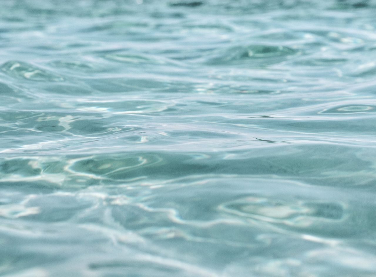 El agua en el Pacífico sudoccidental sigue el proceso de calentamiento y acidificación