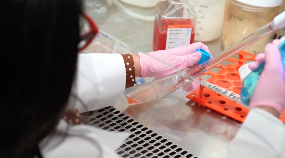 Investigadora nicaragüense busca mejorar terapias contra el cáncer