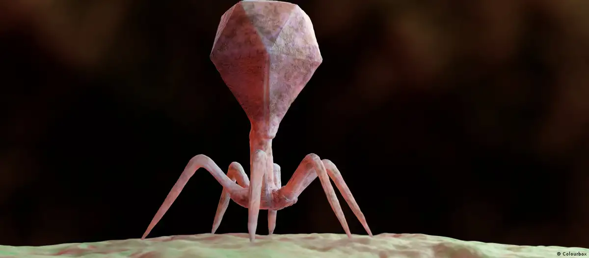 Virus creados con IA combaten bacterias resistentes