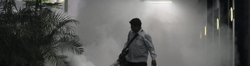 El ambiente y la especie de mosquito determinan la circulación de la malaria