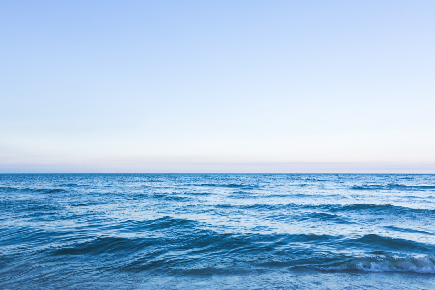 Descubre la riqueza que se esconde detrás del mar peruano