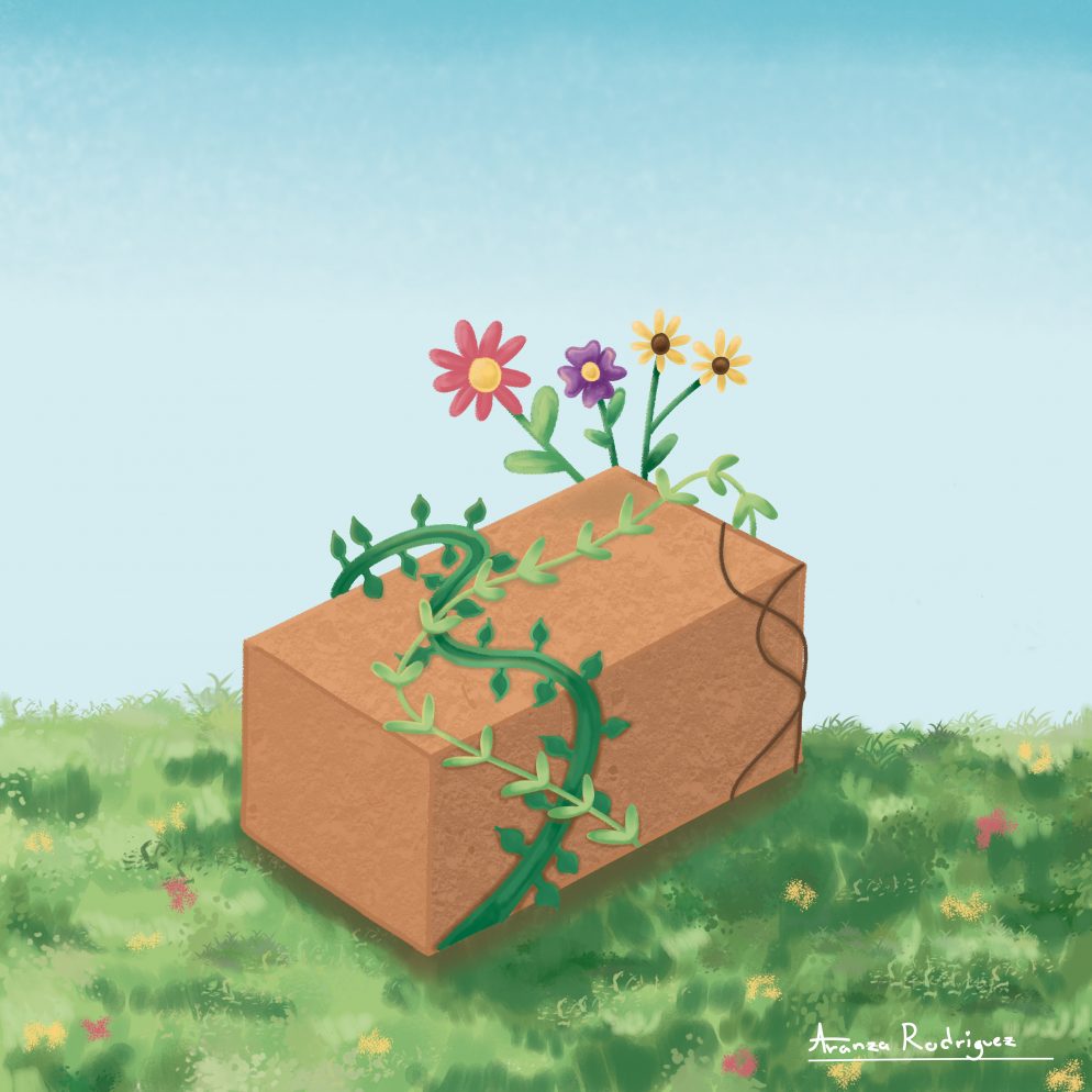 Bioconstrucción