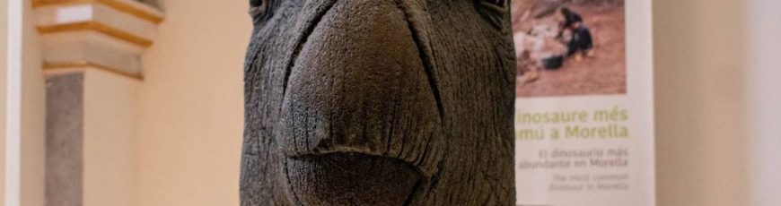 Describen la infección bacteriana que sufrió un dinosaurio de Morella hace 125 millones de años