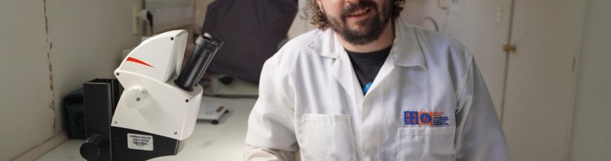 Caracoles habrían llegado a la Antártica viajando sobre macroalgas, según investigación