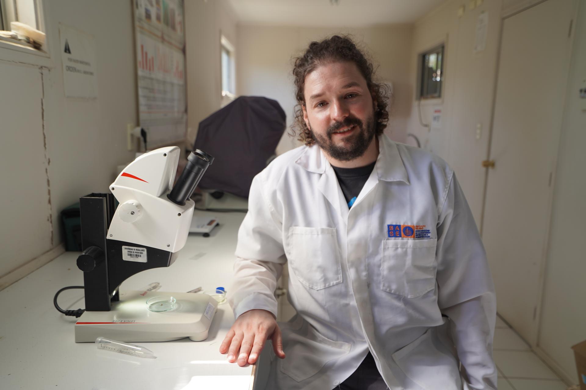 Caracoles habrían llegado a la Antártica viajando sobre macroalgas, según investigación