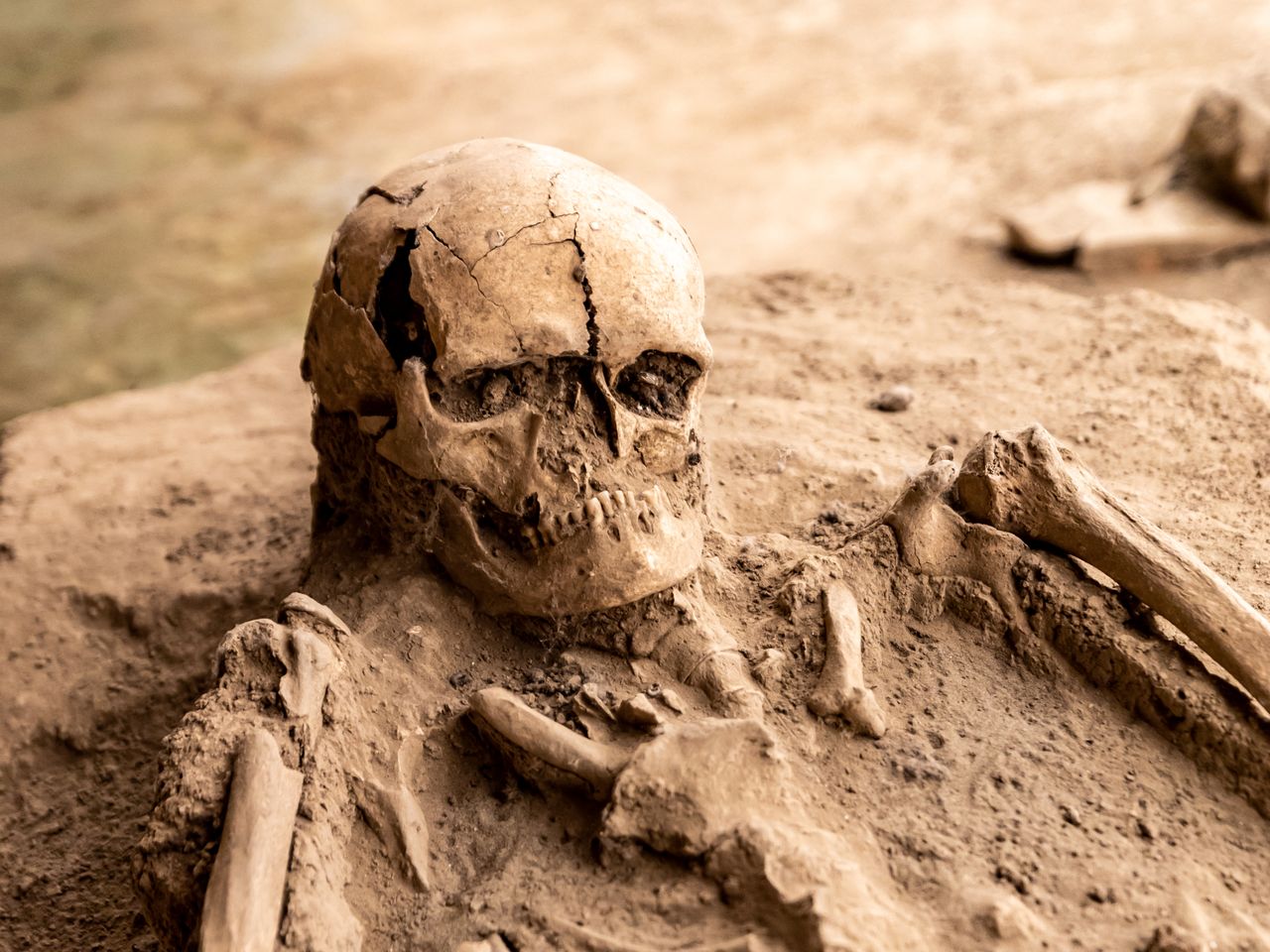 Hallan en Suecia los restos de una mujer embarazada de hace 9.000 años