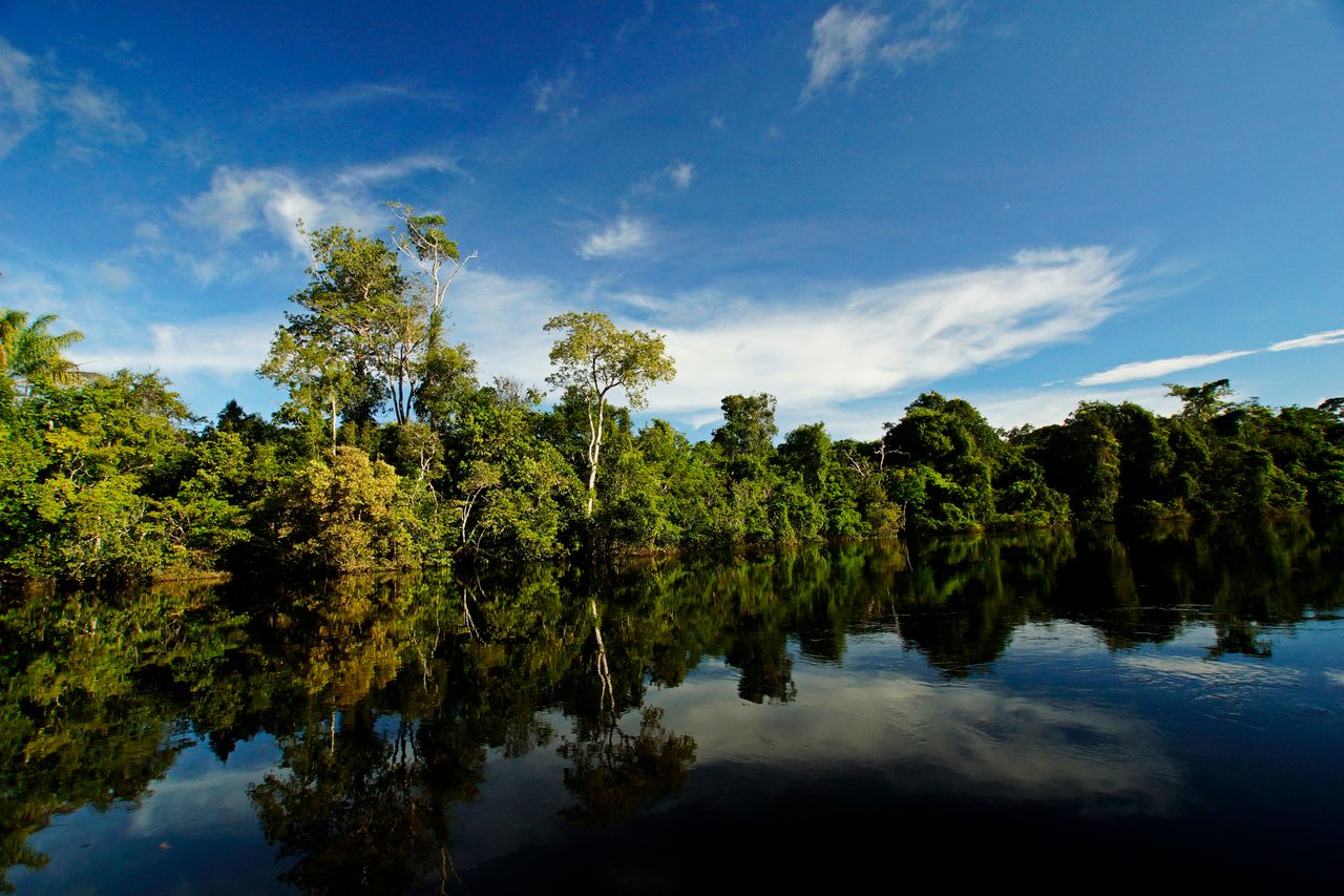 Pérdida de vegetación nativa aumenta vulnerabilidad de Brasil ante fenómenos climáticos extremos, revela estudio