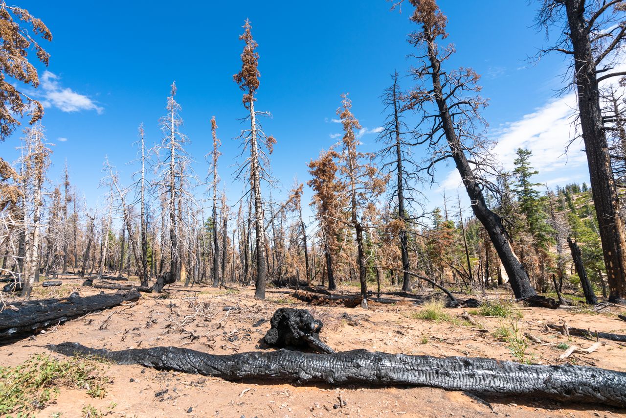 Las pérdidas por catástrofes naturales disminuyen, pero no ocultan su creciente riesgo