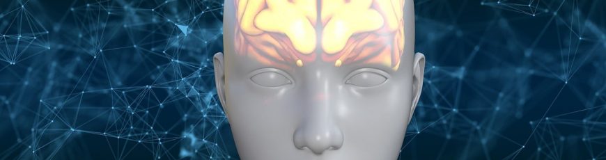 Estudian una proteína que podría desacelerar el deterioro cerebral