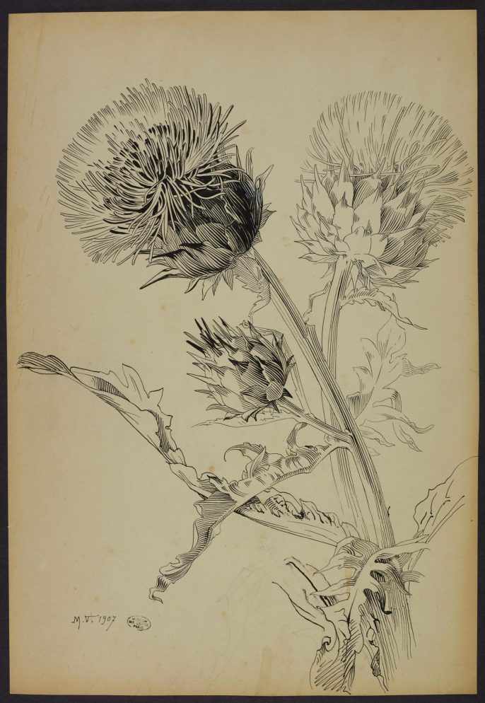 EFE/ Museo Nacional De Historia Natural De París