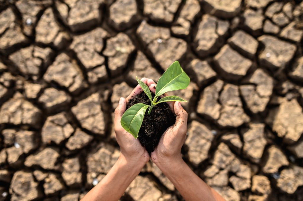 https___www.magnific.com_free-photo_boy-are-stand-holding-seedlings-are-dry-land-warming-world_5469350.htm#fromView=search&page=1&position=1&uuid=d5bb16af-ea06-4513-b8bb-a23df5.jpg