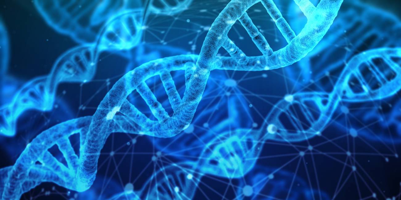 Corrigen con CRISPR un error del ADN que causa una enfermedad metabólica rara