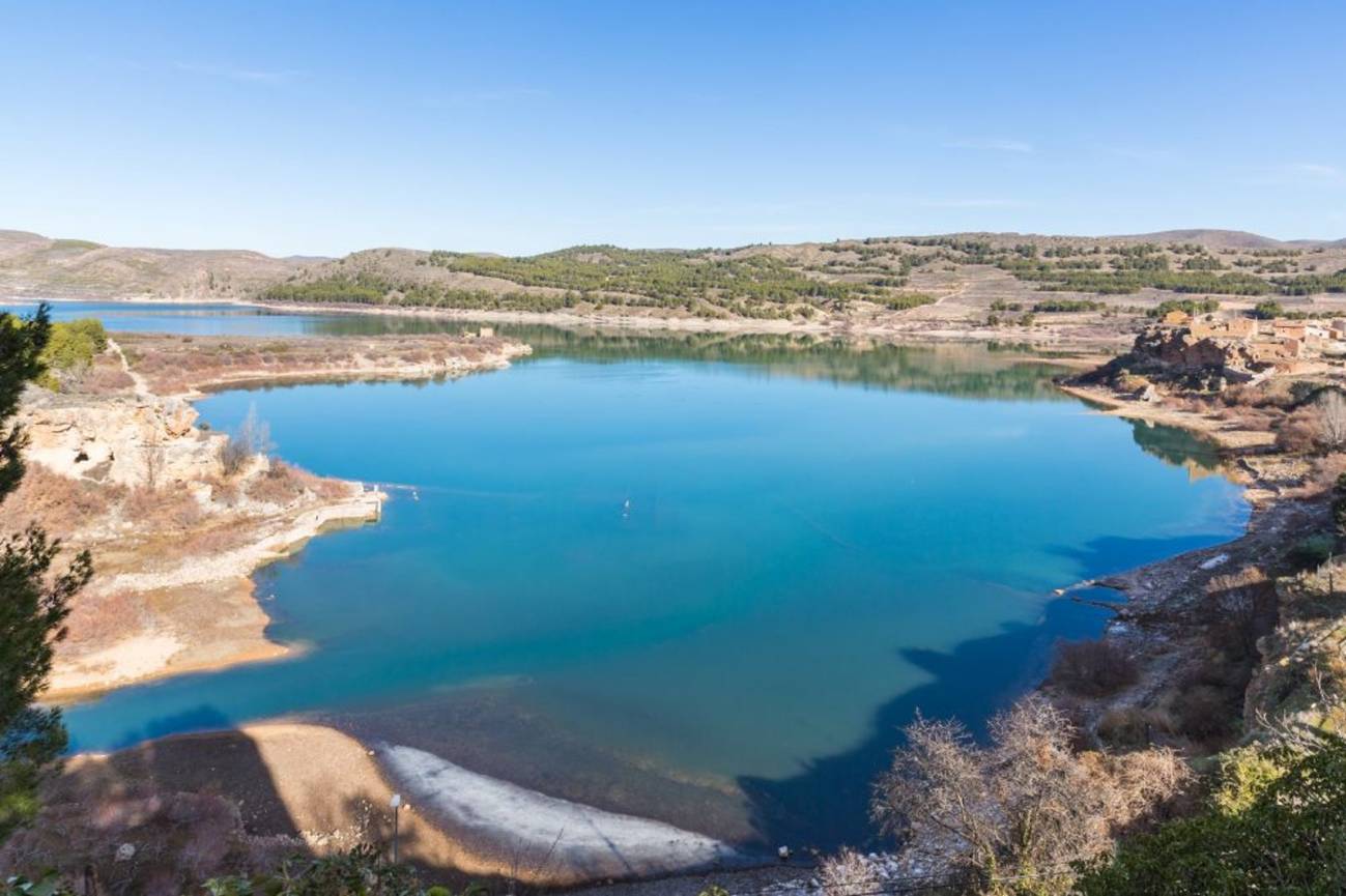 Las aves acuáticas encuentran en los embalses un hábitat cada vez más diverso