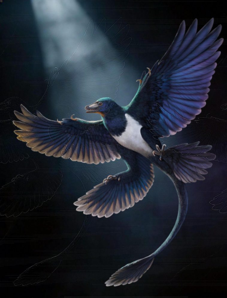 Dinosaurio con plumas/Mr. Zhao Chuang/EFE