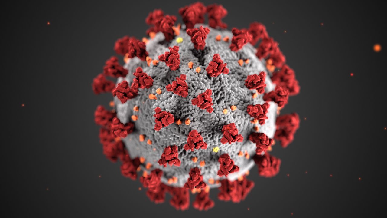 La RD Congo supera la barrera de los 3.000 muertos por el brote de ébola