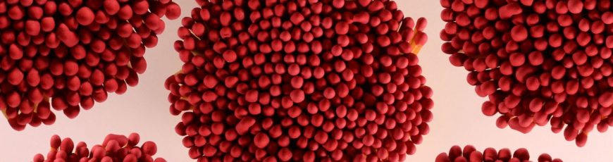 Los tejidos del cuerpo adaptan su capacidad de limpieza a su actividad metabólica
