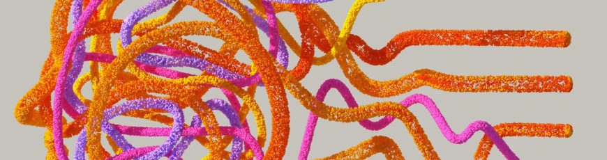 Hallan la proteína que ordena cuándo y dónde se hacen las conexiones entre los hemisferios cerebrales