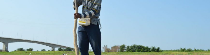 Maíz seco, vacas raquíticas: la sequía de El Niño arrasa Centroamérica