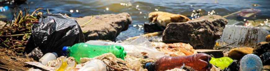 La presidencia de la COP31 lanza una plataforma para la acción contra los residuos marinos